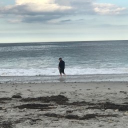 Next Stop: New England