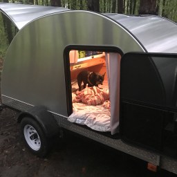 What Did We Get Ourselves Into?