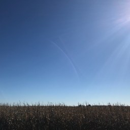 Nebraska: It’s Not So Bad!