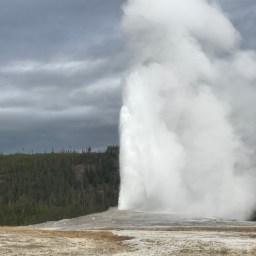 Yellowstone Made Us Work For It, But It Was Worth It